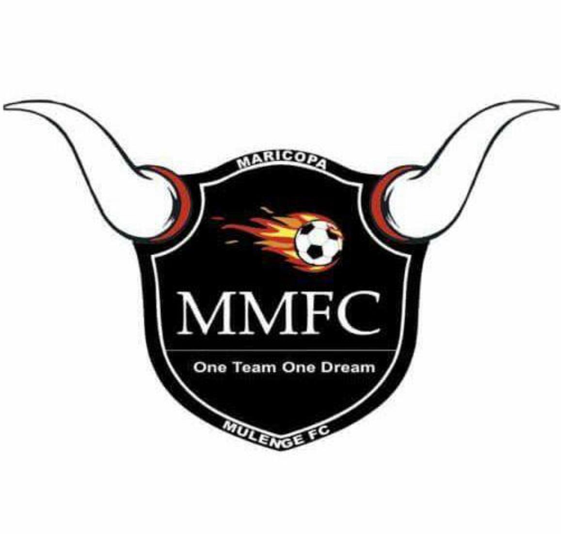 Mulenge FC